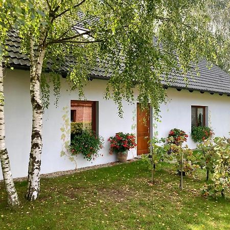 Winnica De Sas Krosnice Luaran gambar
