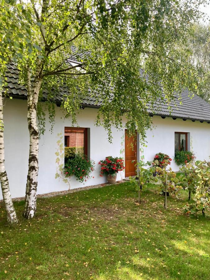 Winnica De Sas Krosnice Luaran gambar